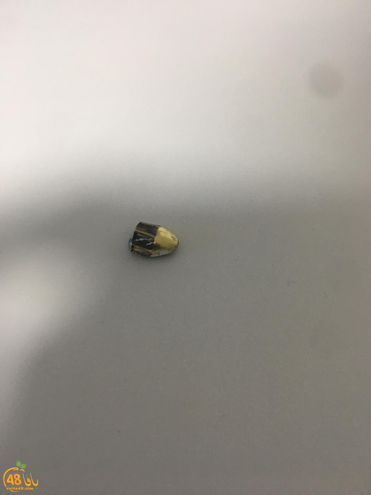 WhatsApp Image 2021-01-24 at 9.03.50 AM (1).jpeg